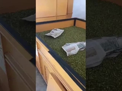 換気 横床乾燥機 穀物 ナッツ 豆 乾燥機 4トン