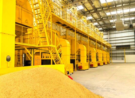 お買い得 ドライヤー100トンは穀物トウモロコシのすべての方向乾燥を機械で造る オンライン